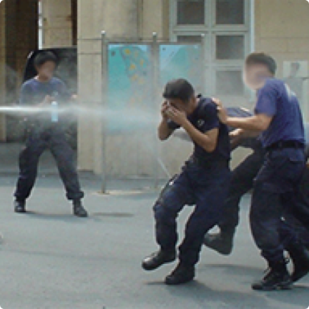 Inert Training Concept